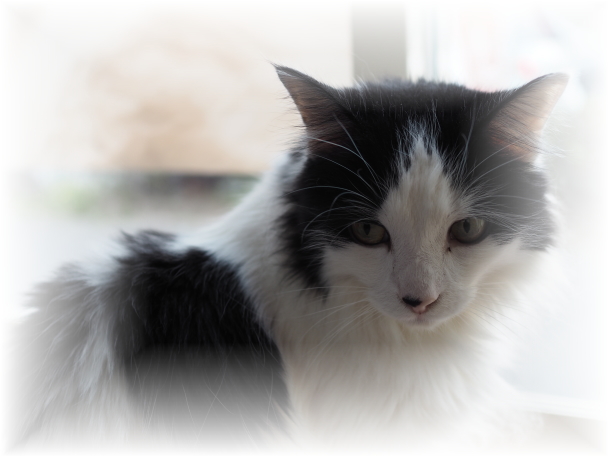 �����܂ł���Ă��A�����Ȃ������̎Ԃ̏ꍇ�E�E�E